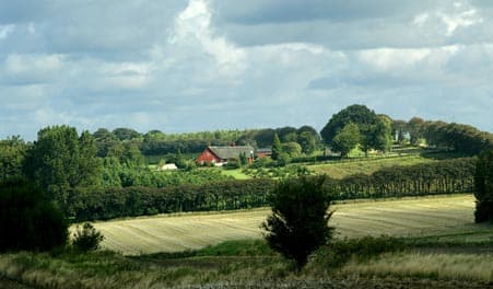 Sporet ved Venslev Huse
