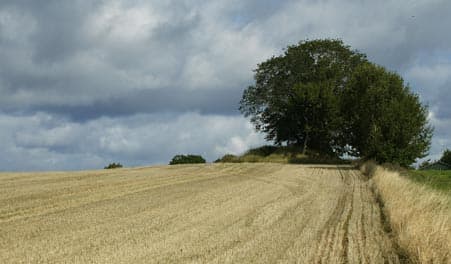 Sporet ved Venslev Huse